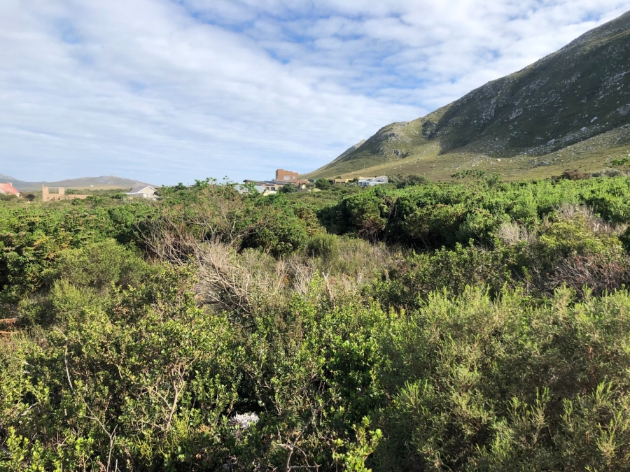 0 Bedroom Property for Sale in Bettys Bay Western Cape